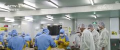 海关部分加大对食物添加剂未照实申报等